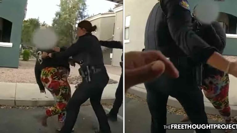 WATCH: 13yo Girl Repeatedly Punched by Police, Tackled for "Getting Too Close: