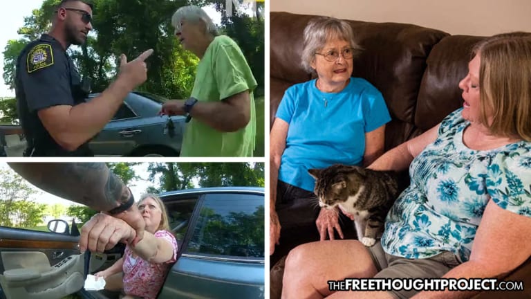 Police 'Protect' Town by Arresting Elderly Women for Feeding Stray Cats, Neutering Them, and Getting Them Adopted