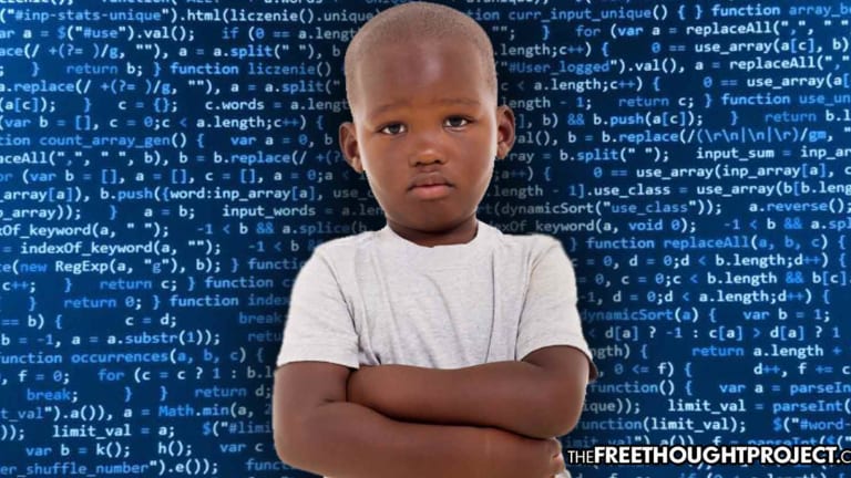Algorithms Being Used to Determine if the State Should Take Kids from Their Parents