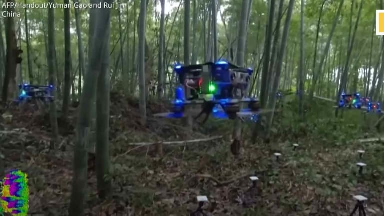 WATCH: Autonomous Chinese Drone Swarm Flies Through Forest While Hunting For Humans