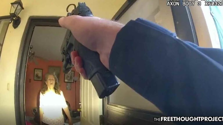 Disturbing Video Shows Frightened Cop Needlessly Execute 75yo Grandma with Dementia