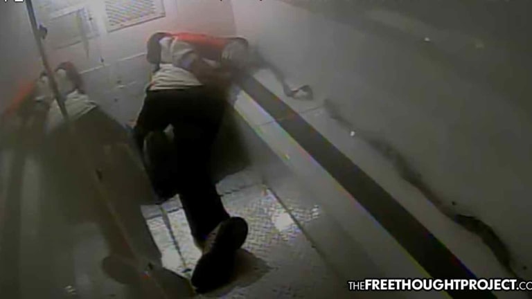 'This is Freddie Gray on Video': Man Paralyzed As Cops Slam Brakes in Police Van, Sending Him Flying