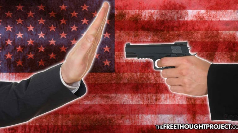 3 Things Gov't Could've Done That Would've Been More Effective Than Gun Control to Prevent Mass Shootings
