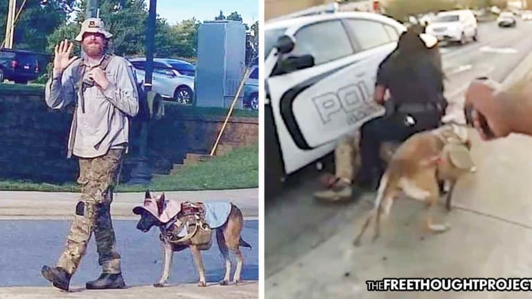 WATCH: Innocent Disabled Vet Attacked, His Service Dog Tasered & Later Killed as Vet Complies With Police Orders