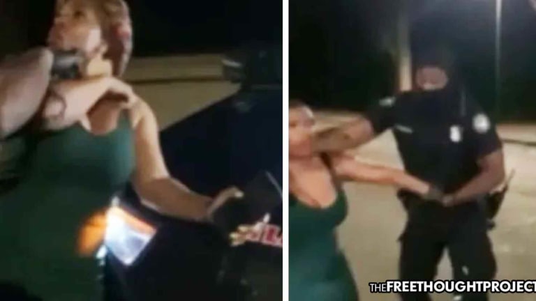 Huge Masked Cop Attacks Woman, Slams Her to the Ground for Being in a Park at Night
