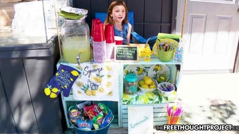 Cops Shut Down 8-Year-old Girl's Lemonade Stand to Protect Society from Unlicensed Lemonade