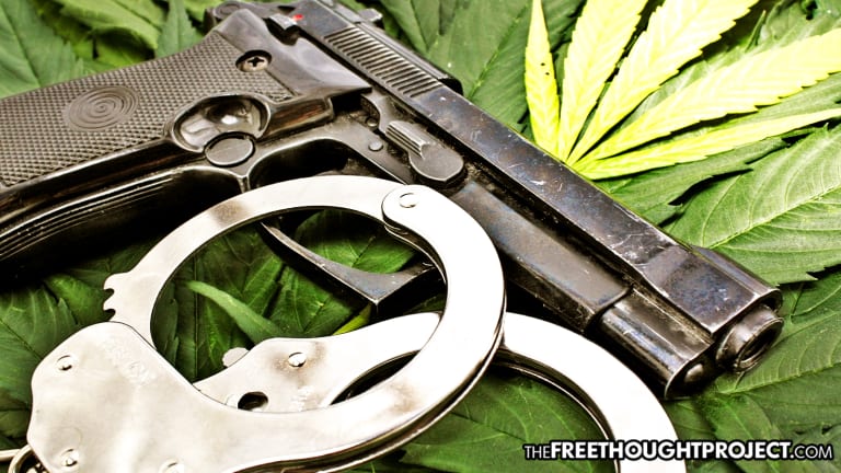 Own a Gun? Smoke Weed? Then You're a Felon Under US Law And Can Be Imprisoned for 20 Years