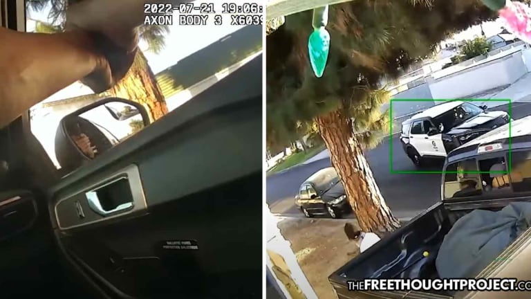 WATCH: Cops Now Conducting Drive-by Shootings in LA on Unarmed Pedestrians