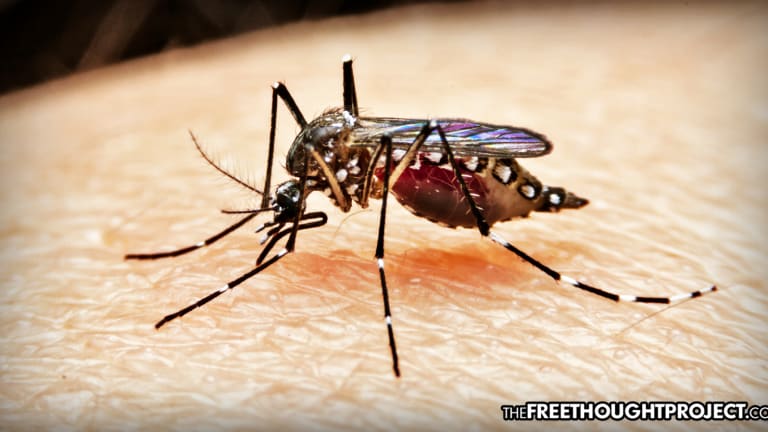 NIH-Funded Study Just Vaccinated a Human Using Genetically Modified Mosquitoes — Yes, Really
