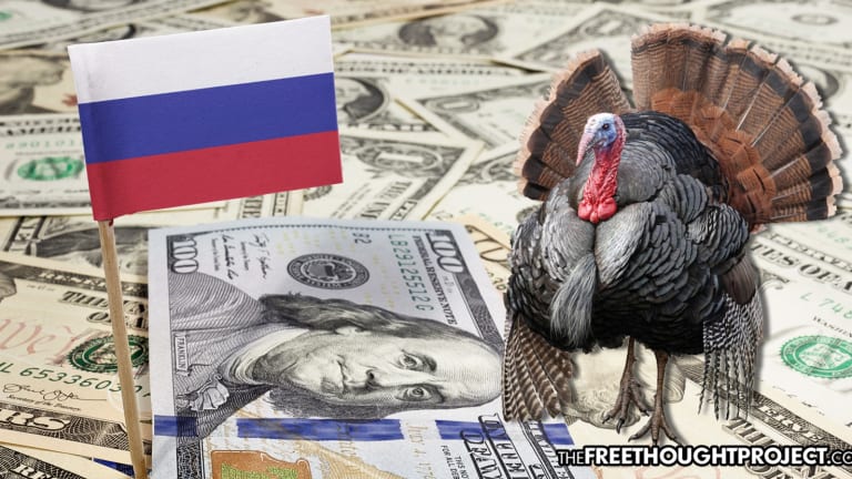 USDA Blames Russia for High Price of Your Thanksgiving Dinner