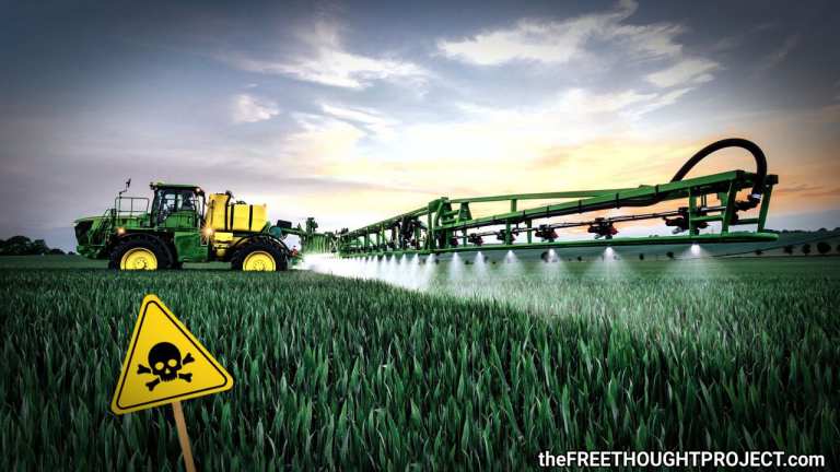 New Study: Forever Chemicals In U.S. Food Supply A Growing Concern