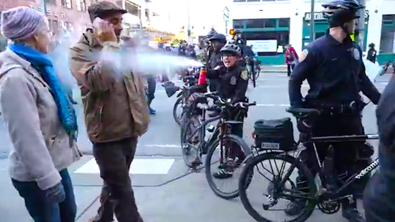 Man Peacefully Walking During MLK Day Rally Blasted with Pepper Spray by Cop