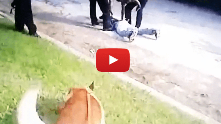 Cop Allows K-9 to Maul Handcuffed, Face Down Suspect, Then Blames it On Him