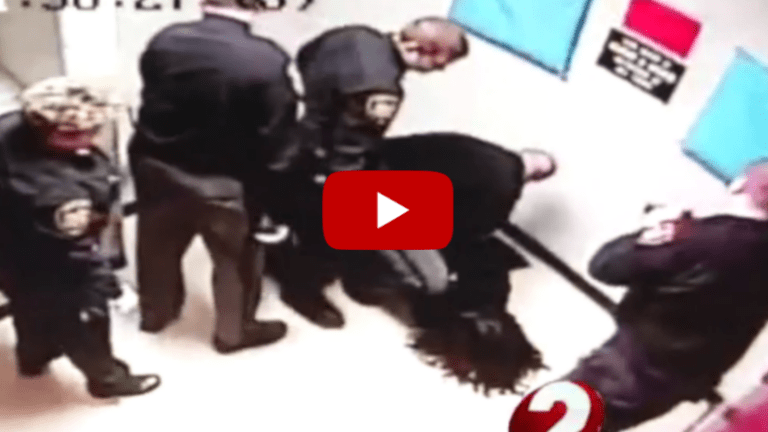 Cops Claim this Woman "Vaulted Herself off the Wall." The Video Says Otherwise.