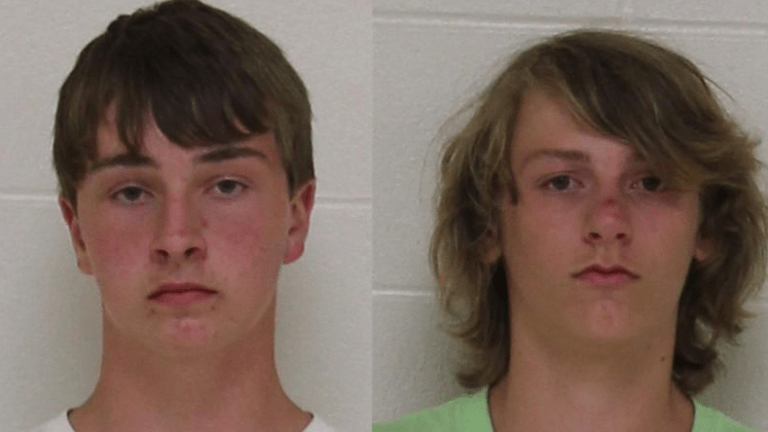 Police State America: Two Children Charged With Felonies For Peeling Bark From a Tree