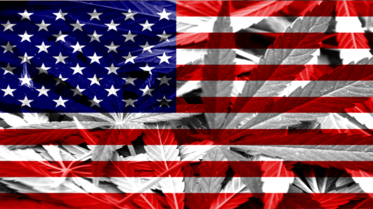 The People Have Spoken: Arresting People for a Plant is Immoral