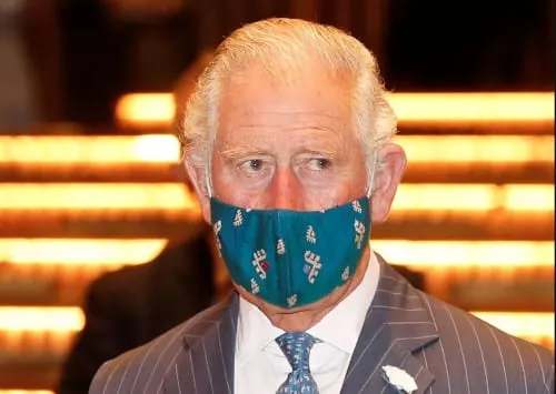 8ec34749-3f92-4c2b-9b53-ae38a8e390d2_500x355