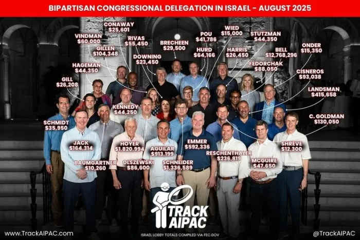 7c0c4b96-2655-45d7-b7d7-64abf3024831_800x535