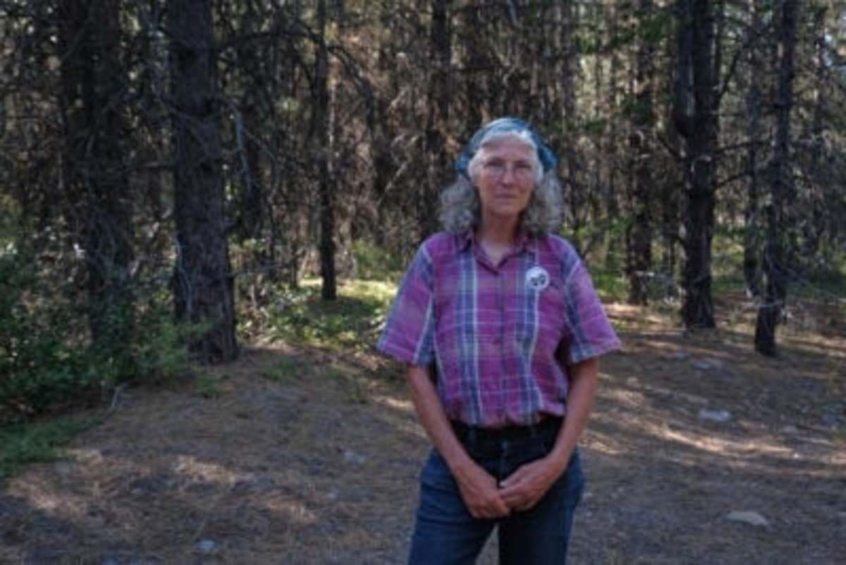 Deb Evans, who owns private timberland in Klamath County that would be clear-cut for a pipeline. Her husband, Ron Schaaf, received a phone call from a pipeline representative, saying a company wanted their land. He turned to her and said: “I don’t know what just happened. They make it sound like they can just take it.” (Alex Milan Tracy for ProPublica)