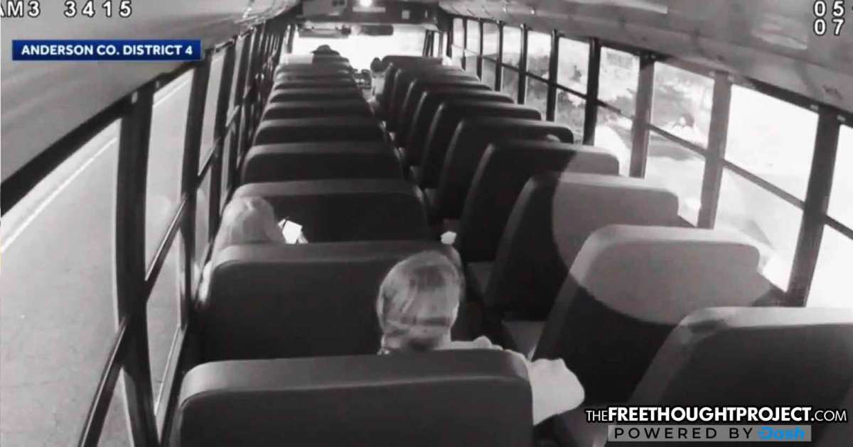 Watch Distracted Cop Forgets To Brake Clips Child Waiting For A Bus
