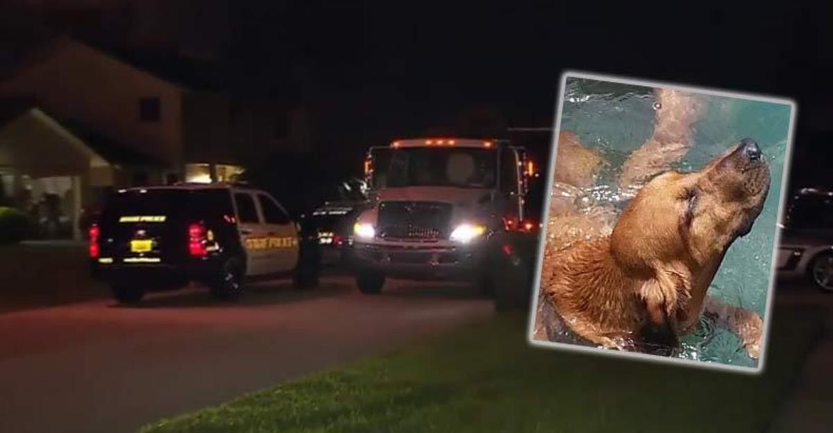 2-Police-Dogs-are-Dead-After-Florida-Officer-Left-them-in-His-Driveway-in-Hot-SUV-All-Day