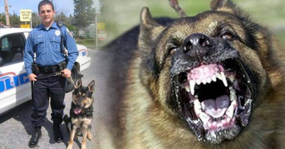Sadistic-Cop-Forces-K9-to-Maul-59-Year-Old-Woman-Who-Was-In-Custody