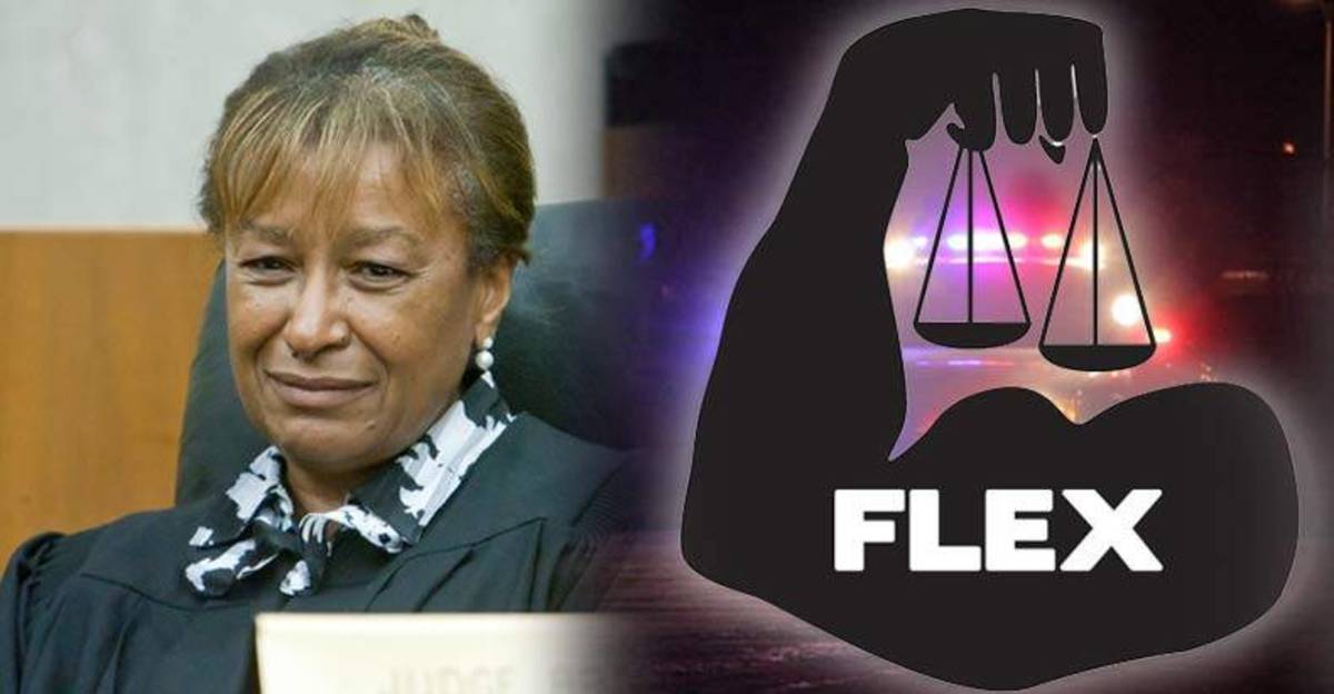 dc-judge-explains-how-and-why-you-should-flex-your-rights