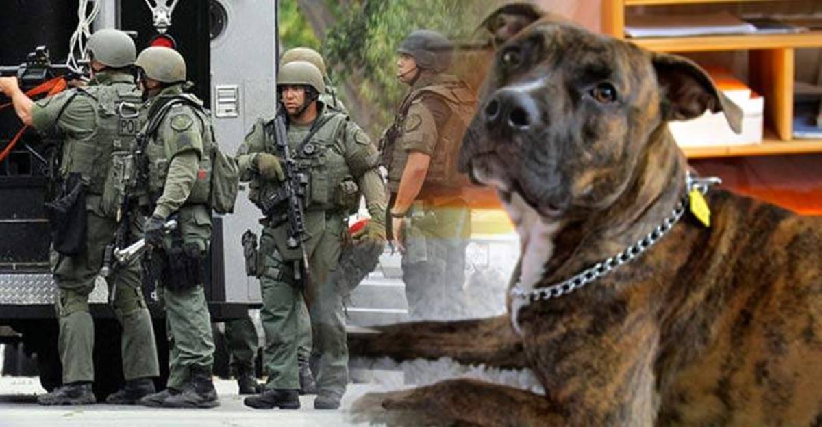 Family-Raided-by-SWAT-and-their-Dog-Shot,-for-Being-Unable-to-Pay-Utility-Bill