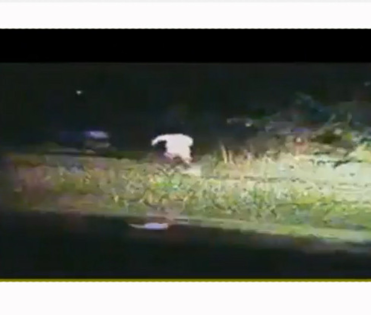 Capital Punishment For Traffic Stops Police Run Over and Kill A Man for a Seat Belt Violation