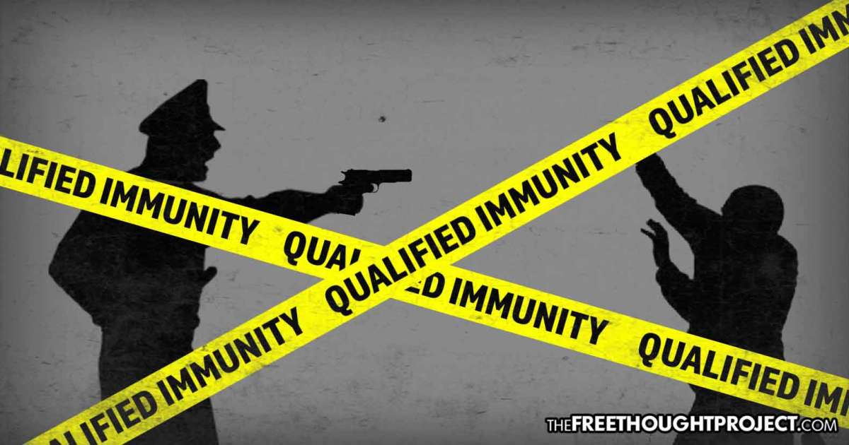 As States Remove Qualified Immunity, This Tone Def State Just Passed A