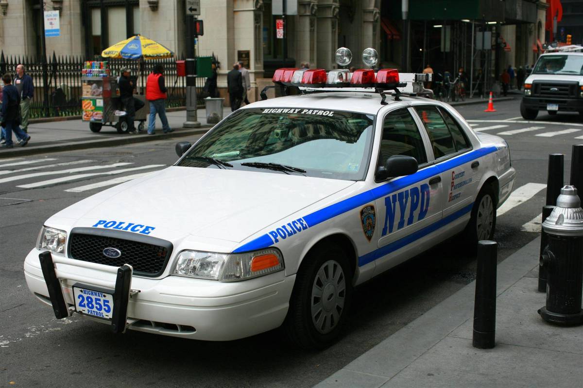 nypd13