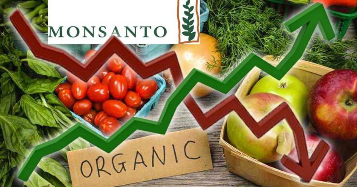 mansanto-sales-plummet-organic-skyrocket