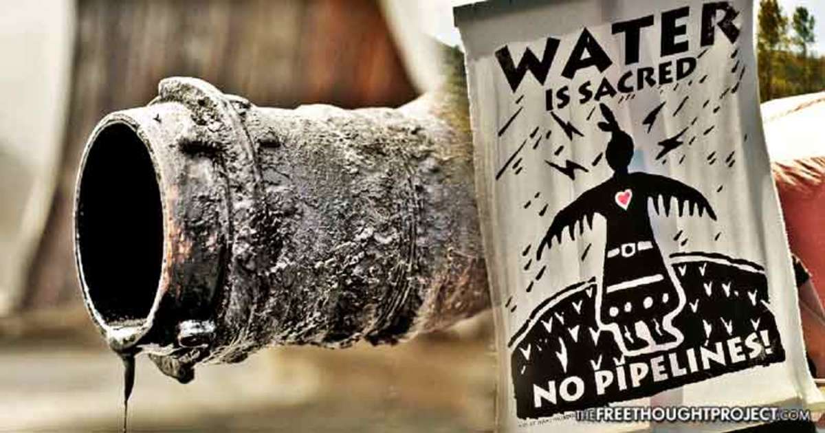 Water Protectors Were Right: DAPL Already Leaking as ND Pipelines Spill ...