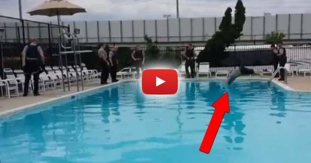 Video Shows 7 Cops Laugh as A Man Drowns, So a Hero Citizen Jumped In ...