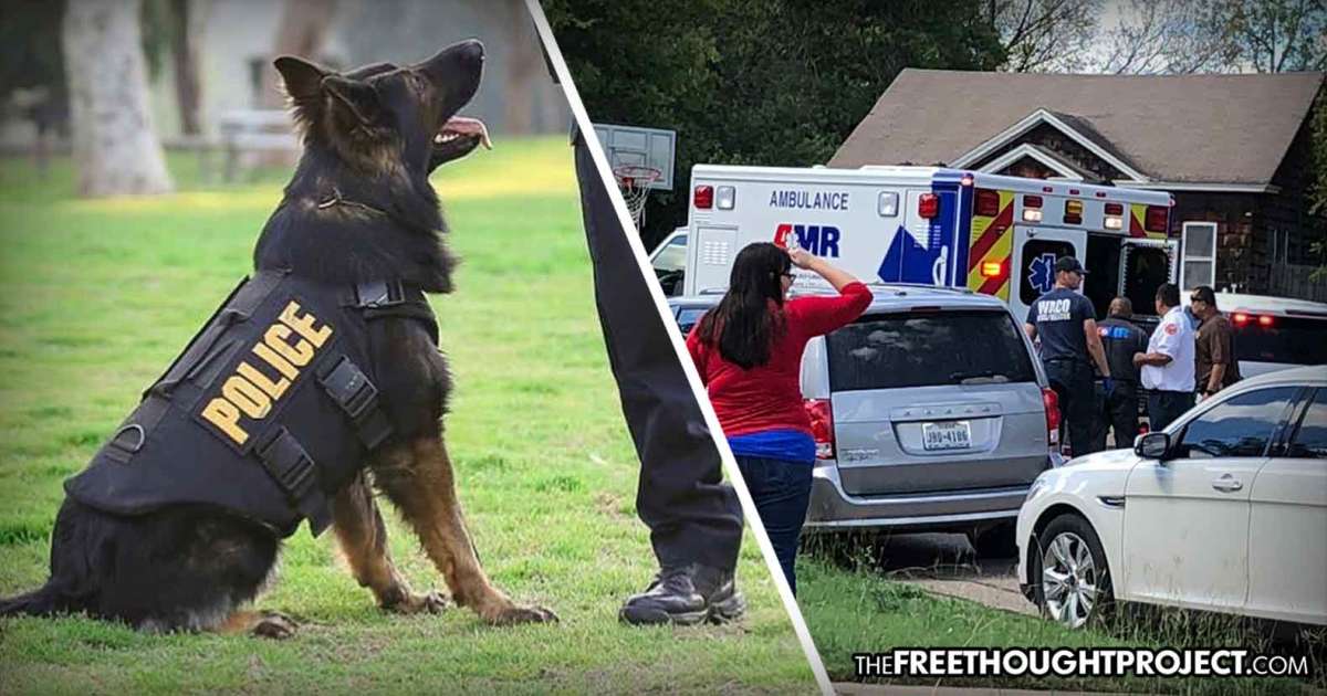 Police Forced To Kill Their Own K9 After It Turned On Them And Attacked 