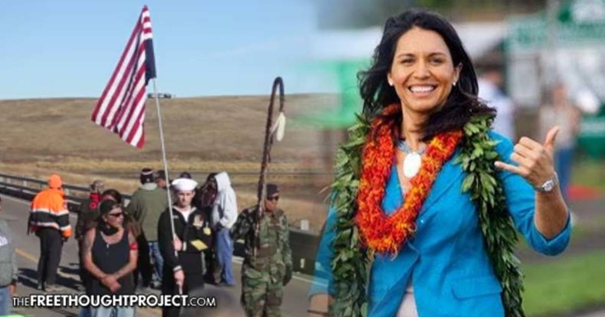 U S Congresswoman And Military Vet To Join The Resistance With Fellow