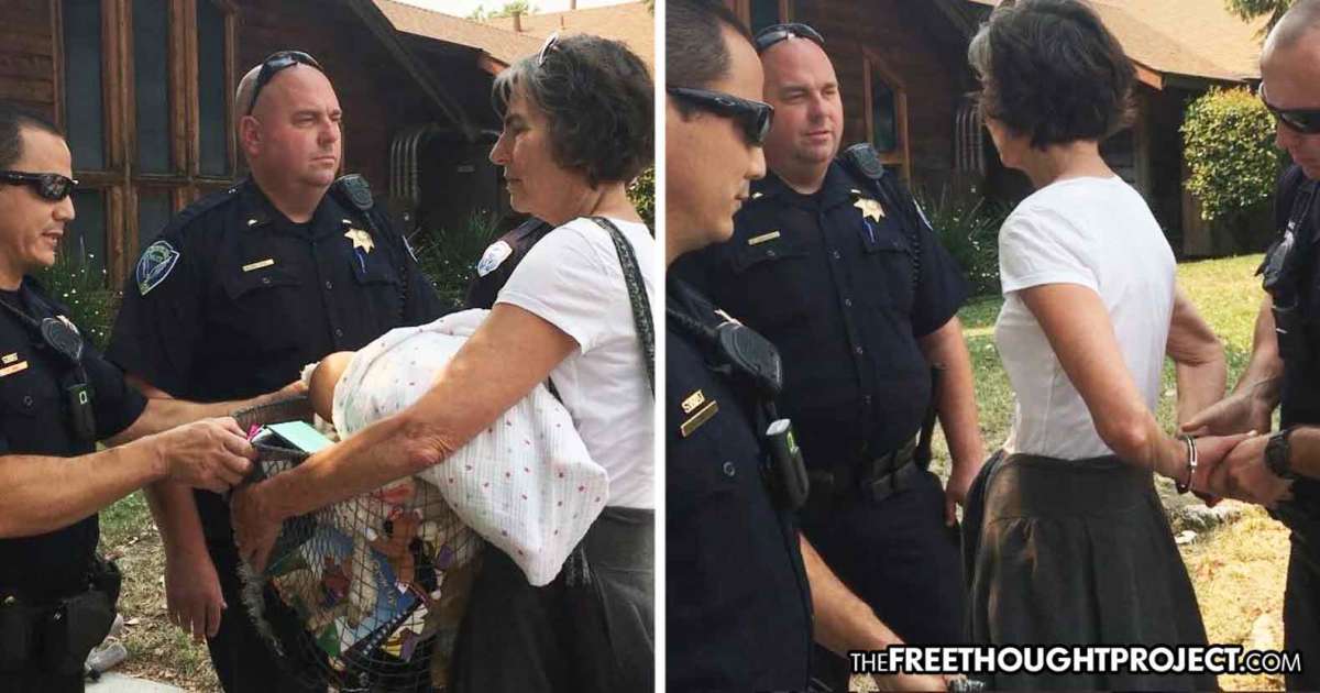 WATCH: Grandmother Arrested While Trying to Deliver Toys to Children ...