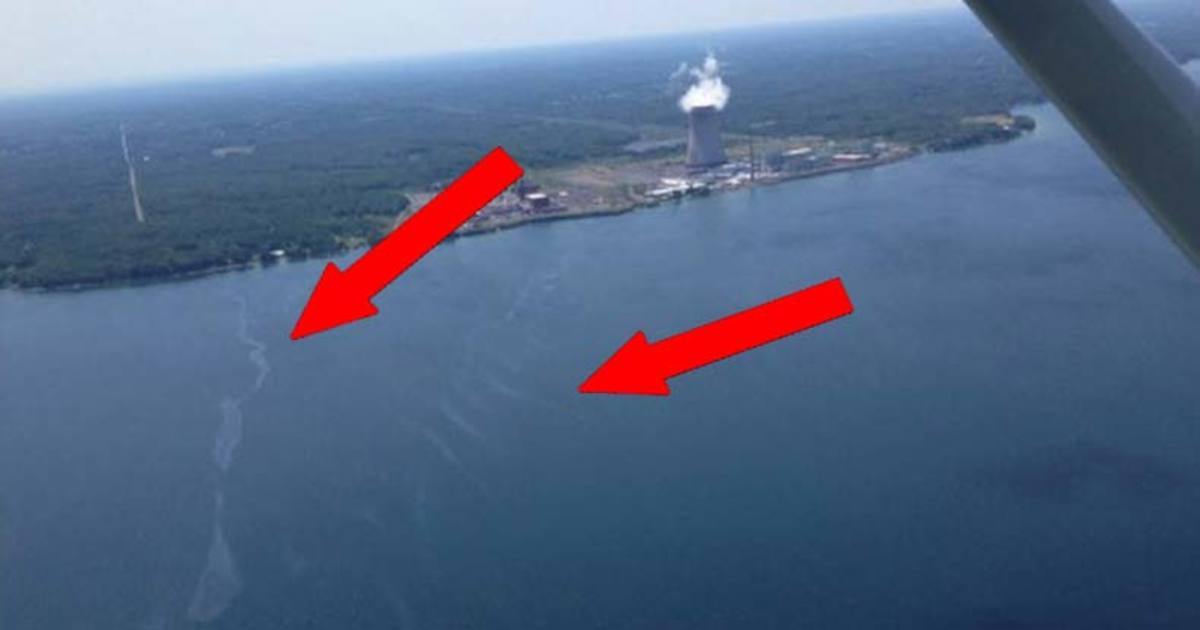 New York Nuclear Power Plant Leak