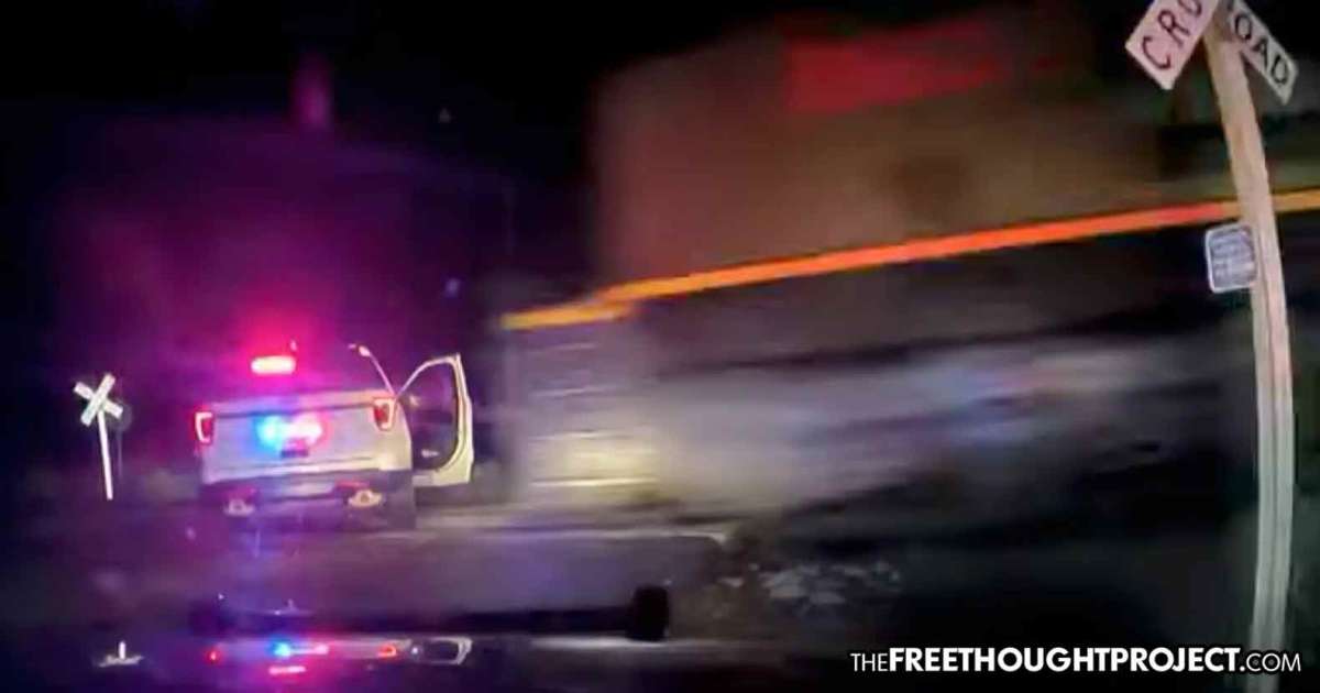 WATCH Cops Lock Woman in Patrol Car Parked on Train Tracks Before a