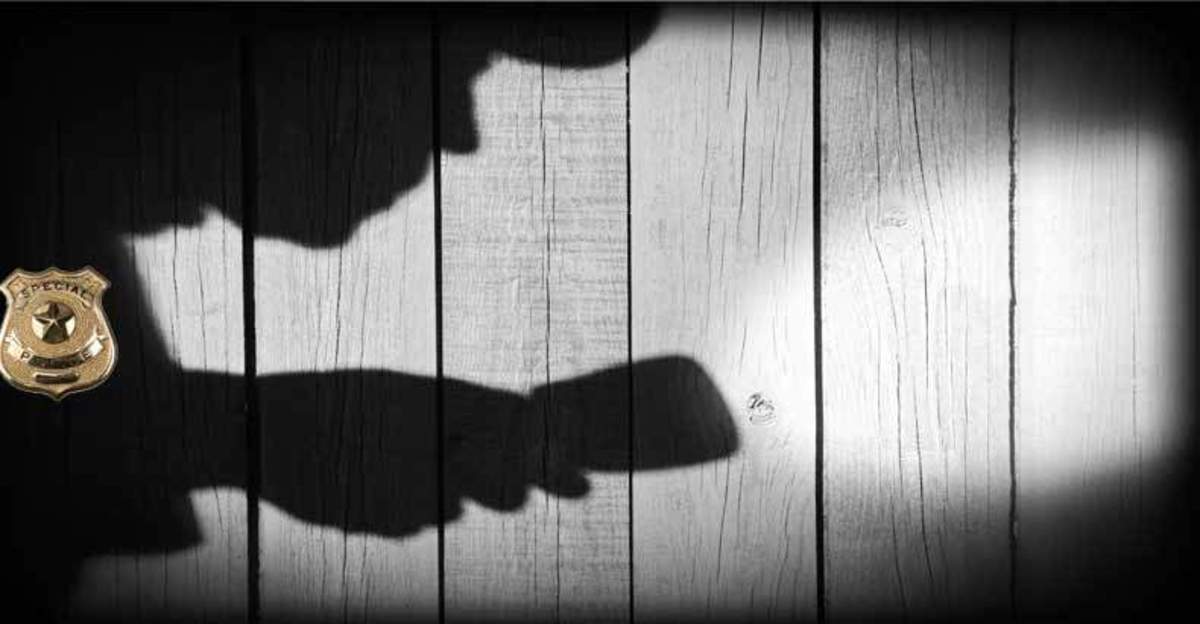 burglars-cops