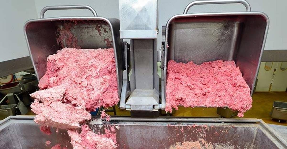 ground-beef-contains-feces-in-america