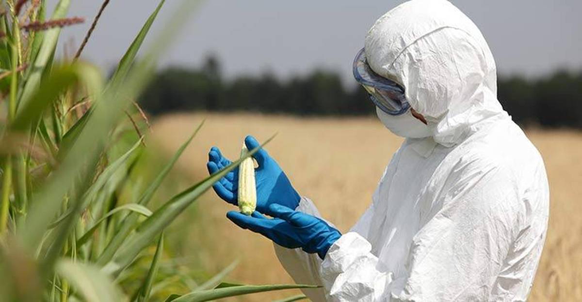 GMO-Scientist-Blows-the-Whistle-on-Monsanto
