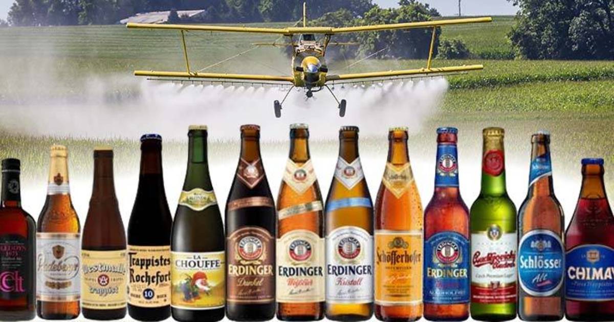 100 Percent of Beer Tested Had At Least 5 Times the Amount Glyphosate