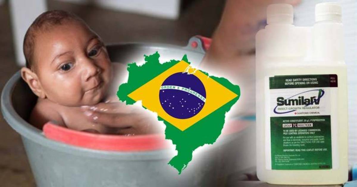 sumilarv-suspended-in-Brazil